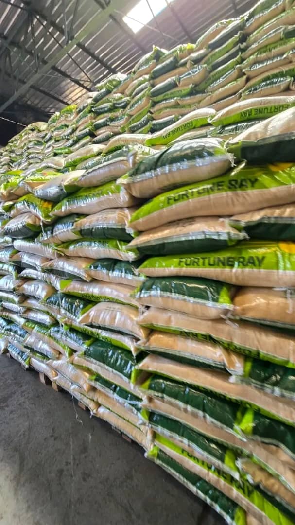 Stock de riz Fortune Ray